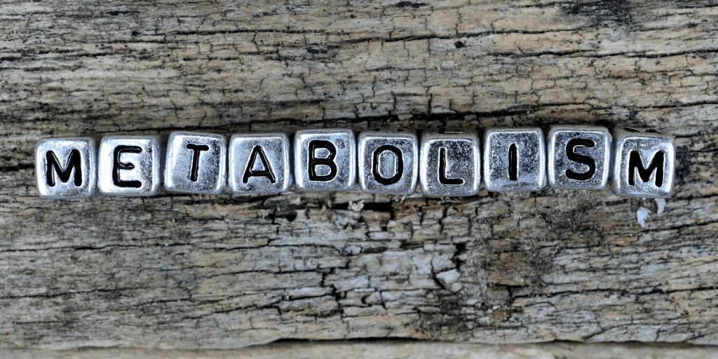 Healthy Metabolism – All You Need To Know for Weight Loss and Wellbeing