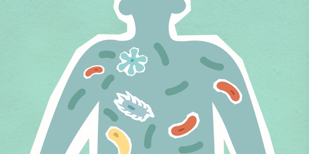Parasite Cleanse: Natural Remedies, Symptoms & Diet for a Healthier Gut.