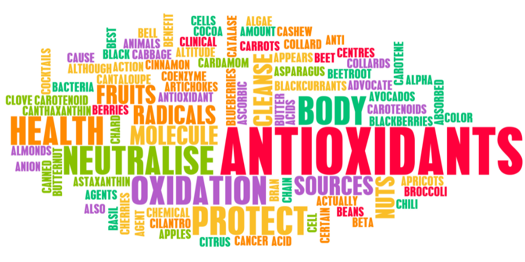The Power of Antioxidants: Combatting Free Radicals for Better Health