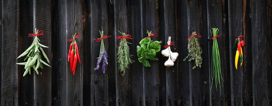 A Healthy Boost from Nature - Detox Works ®