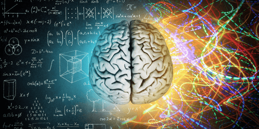 Best Foods For Brain Health - Detox Works ®