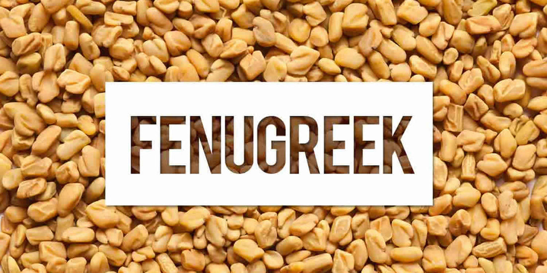 Fenugreek For Breast Milk - Detox Works ®