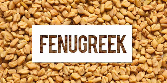 Fenugreek For Breast Milk - Detox Works ®