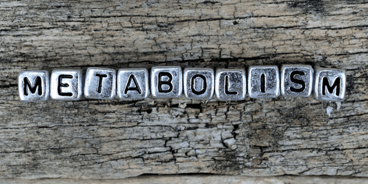 Healthy Metabolism – All You Need To Know for Weight Loss and Wellbeing - Detox Works ®