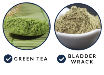 premium ingredients 4