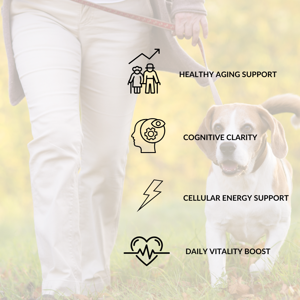 Person walking a dog with health benefits text overlay on a blurred natural background