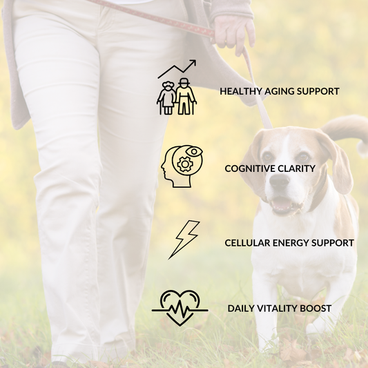 Person walking a dog with health benefits text overlay on a blurred natural background
