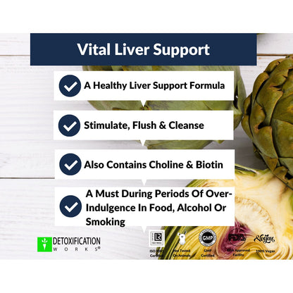 Vital Liver Support (60 Capsules) - Detox Works ®
