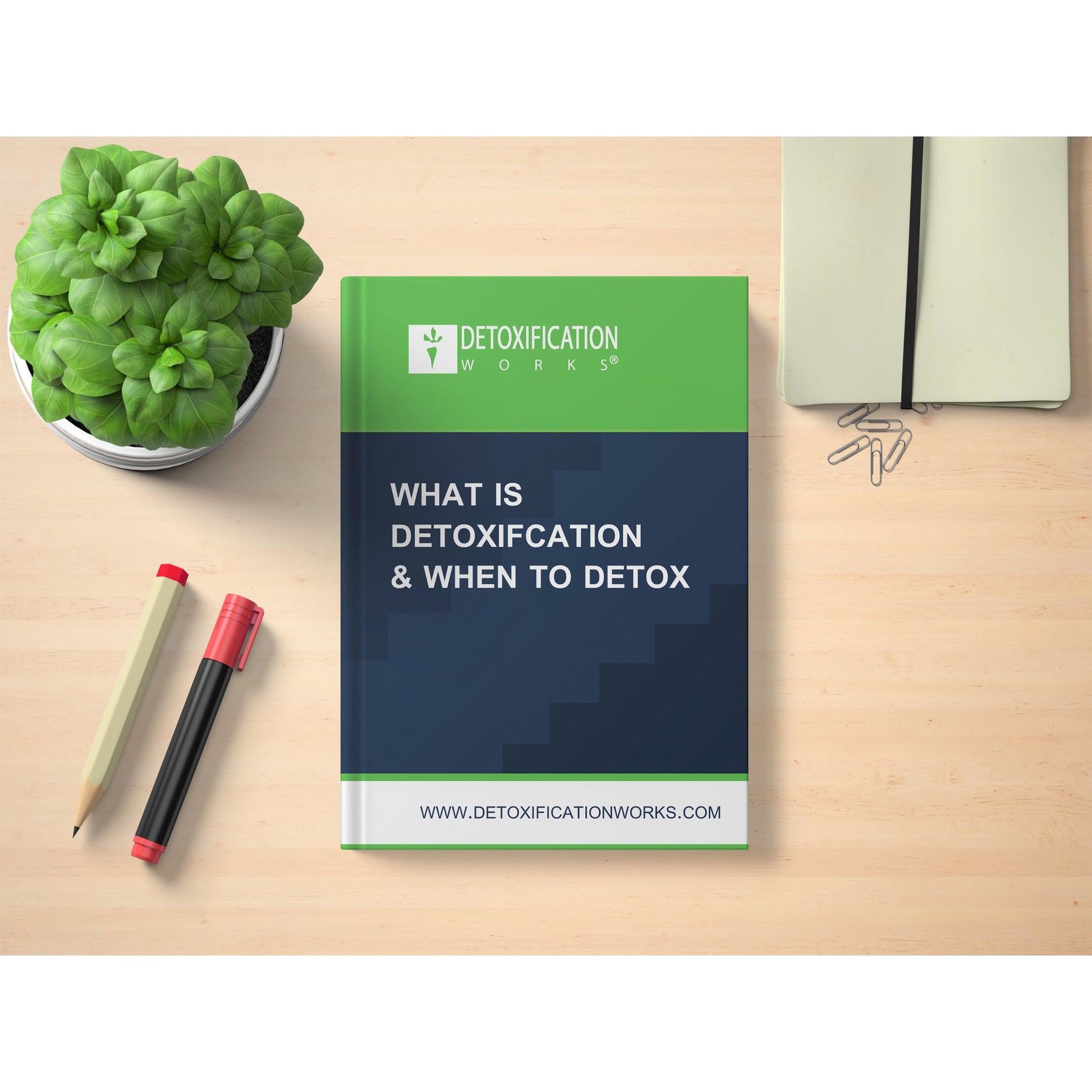 What Is Detoxification & When To Detox - Detox Works ®